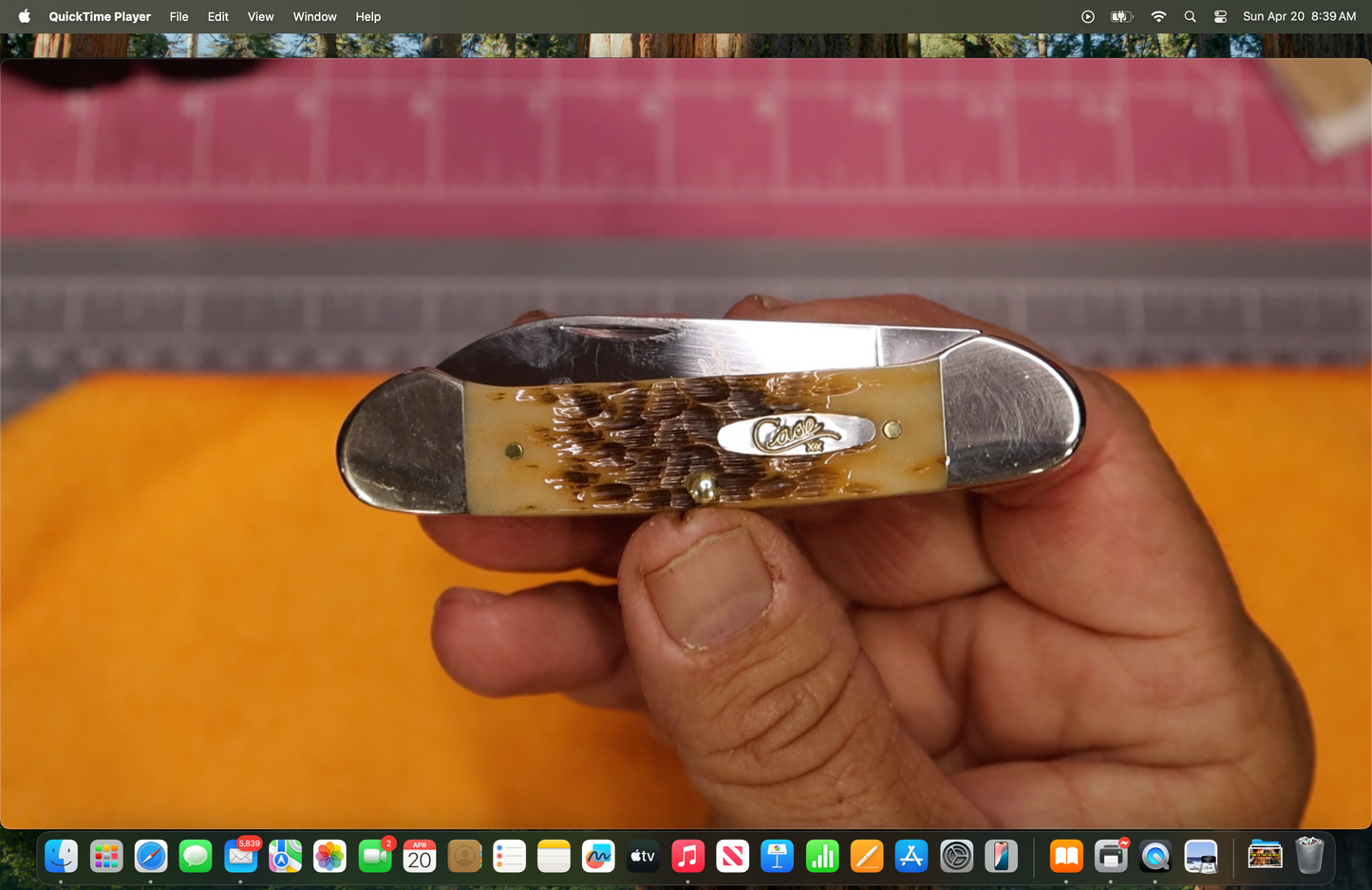 Case XX Amber Bone peach Seed Jig Canoe 62131 CS